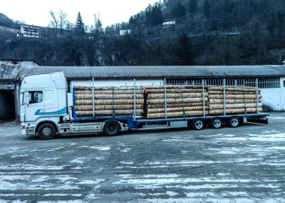 RIMORCHI-PER-CAMION-TREVISO-34